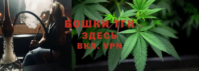 Канабис OG Kush  Каргат 